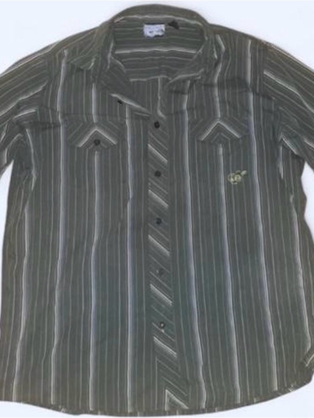 anchor blue Men's Green and White Striped Button-Down Shirt